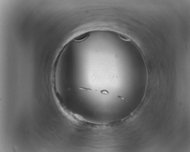 X0000069811526200605221151