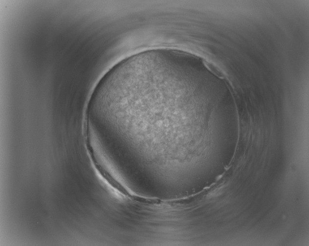 X0000069811527200605221151