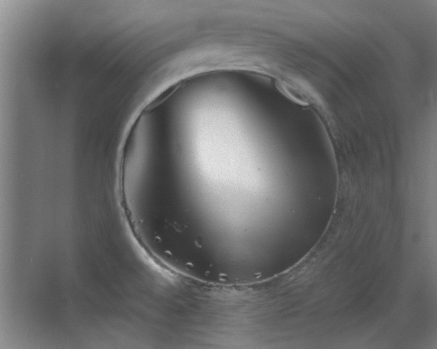 X0000069811528200605221151