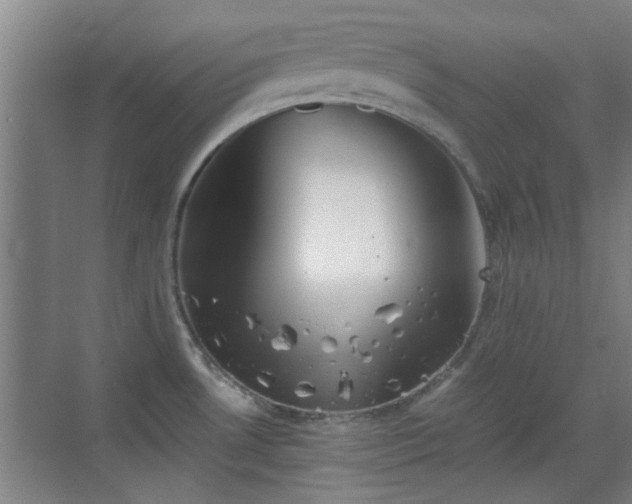 X0000069811530200605221151