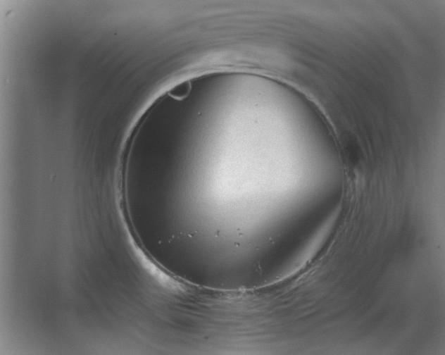 X0000069811531200605221151