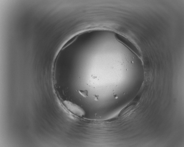 X0000069811532200605221151