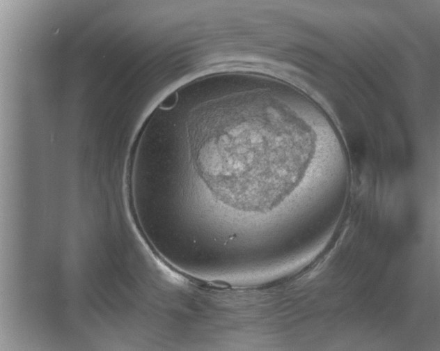 X0000069811533200605221151