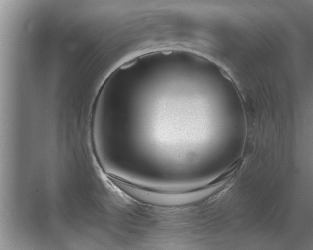 X0000069811534200605221151