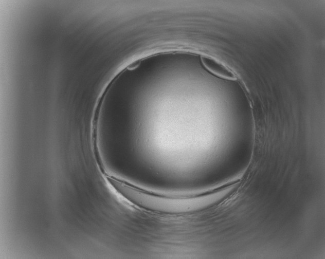 X0000069811535200605221151