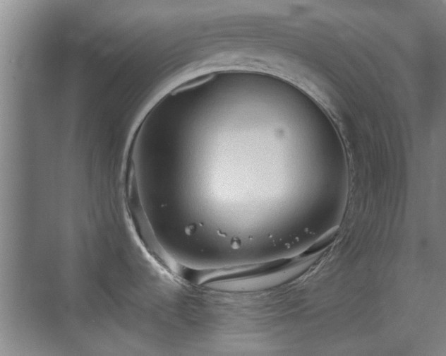 X0000069811536200605221151