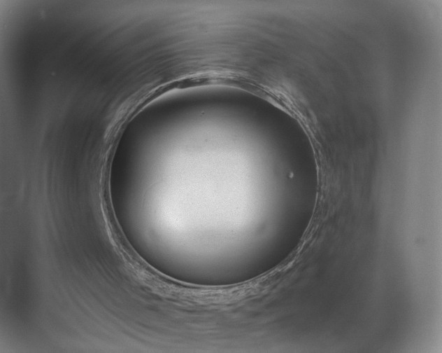 X0000069810001200605261800