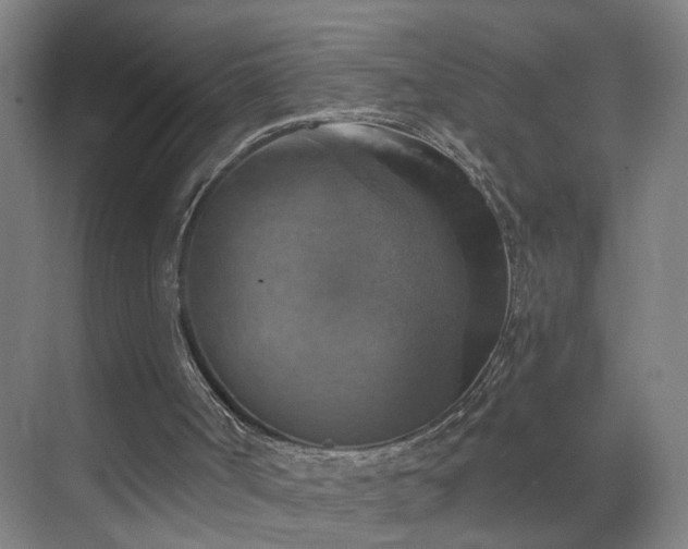 X0000069810002200605261800