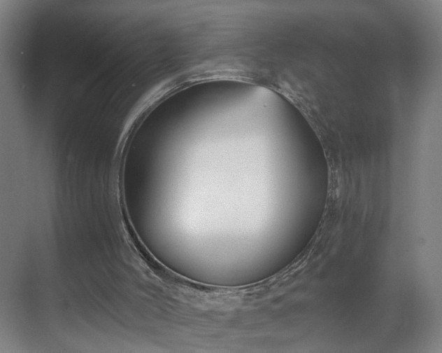 X0000069810004200605261800