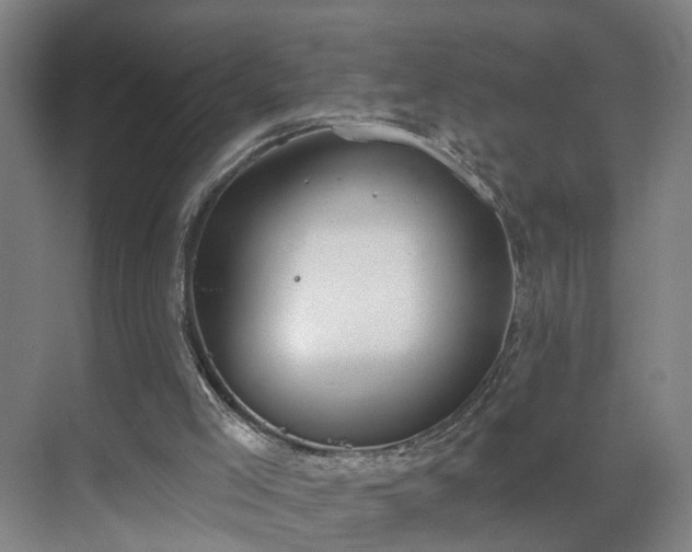 X0000069810005200605261800