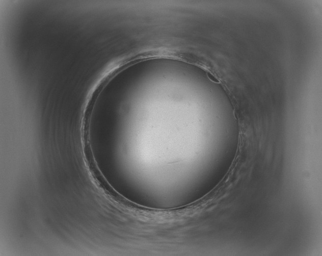 X0000069810006200605261800