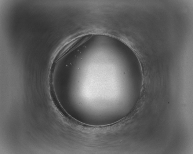 X0000069810007200605261800