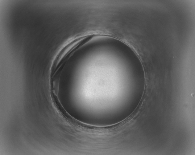 X0000069810008200605261800