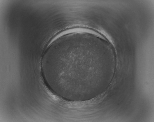 X0000069810009200605261800