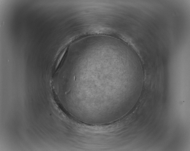 X0000069810010200605261800