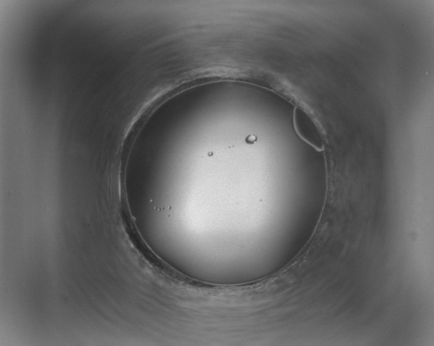 X0000069810011200605261800