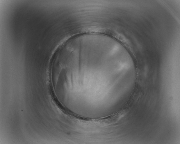 X0000069810012200605261800