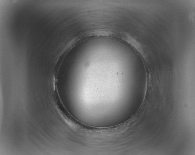 X0000069810013200605261800