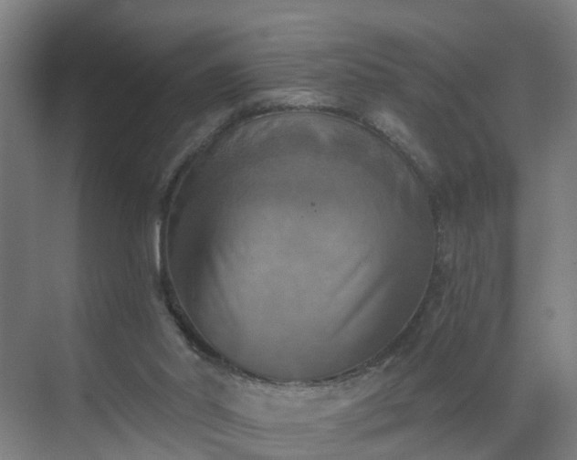 X0000069810014200605261800