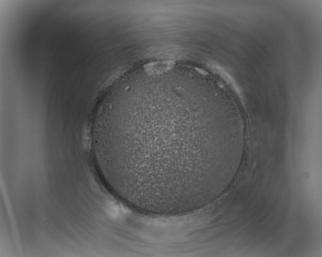 X0000069810017200605261800