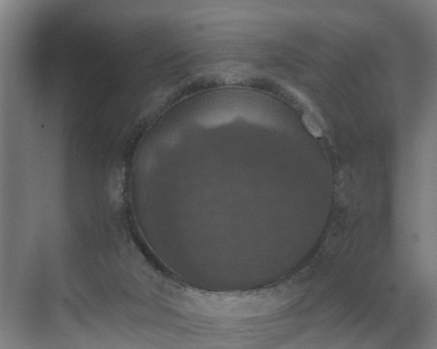 X0000069810018200605261800