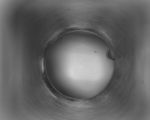 X0000069810020200605261800