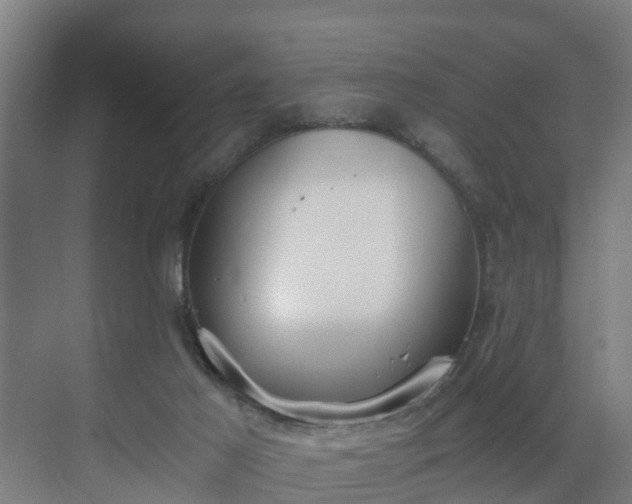 X0000069810021200605261800