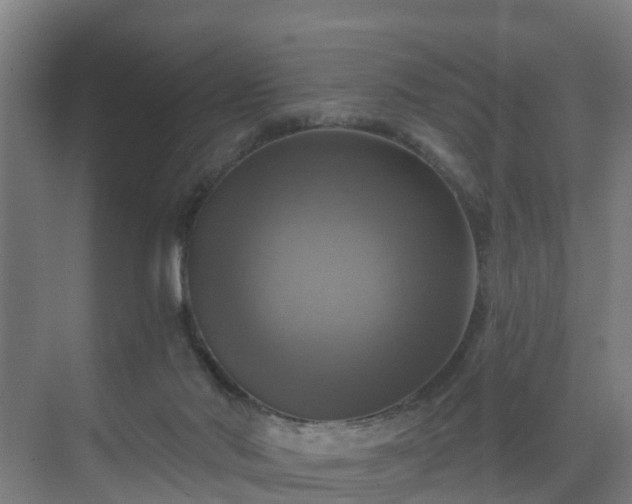 X0000069810022200605261800