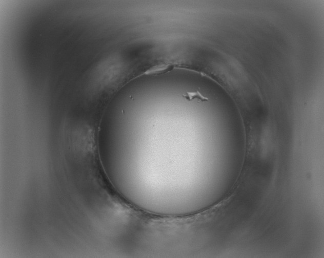 X0000069810025200605261800