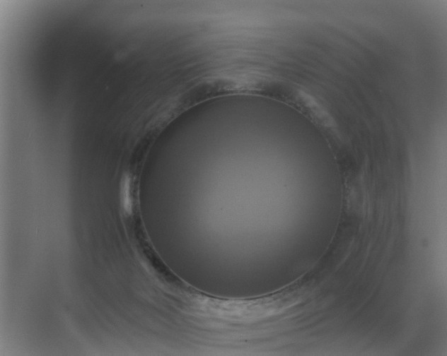 X0000069810026200605261800