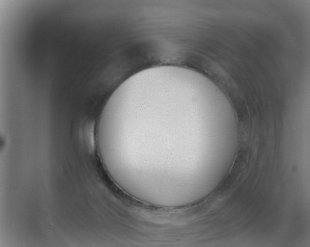 X0000069810028200605261800