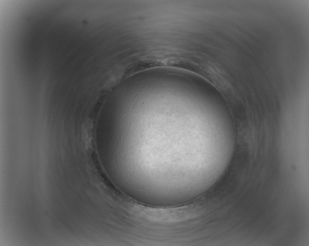 X0000069810030200605261800