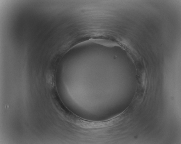 X0000069810031200605261800