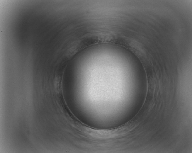 X0000069810034200605261800