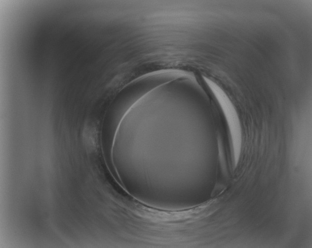 X0000069810035200605261800