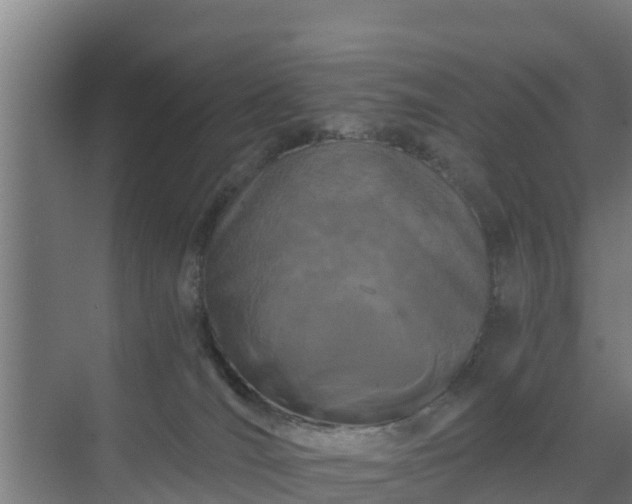 X0000069810036200605261800