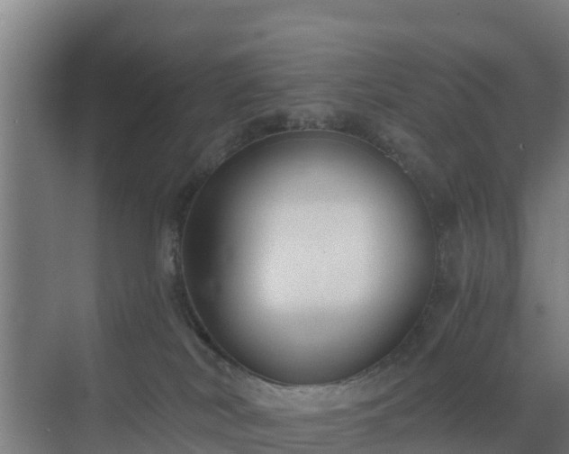 X0000069810038200605261800