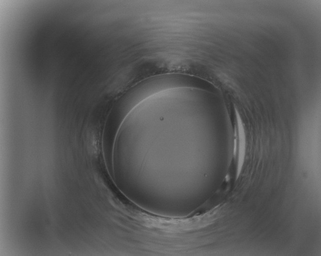 X0000069810039200605261800