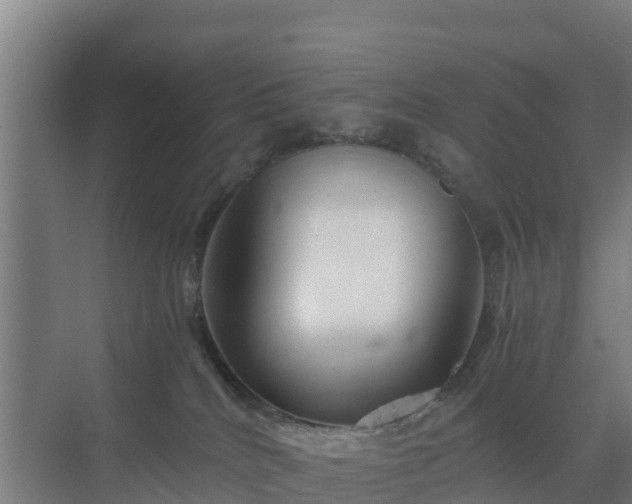 X0000069810040200605261800