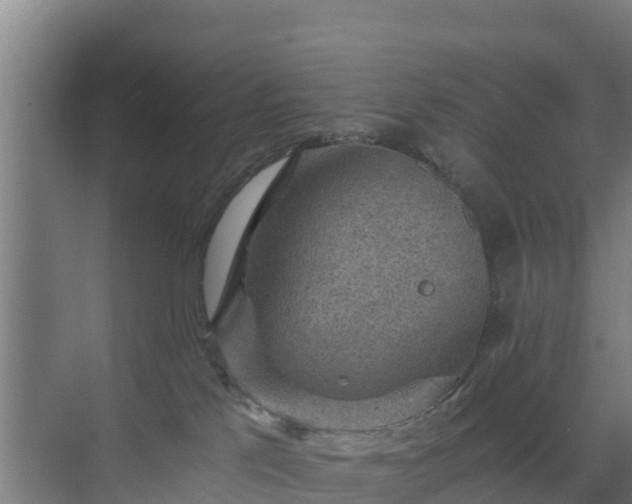 X0000069810041200605261800