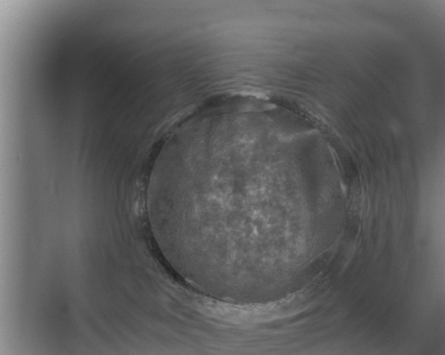 X0000069810043200605261800