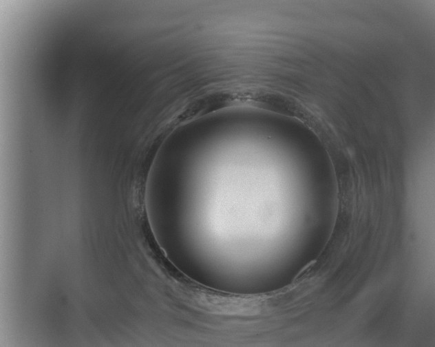 X0000069810044200605261800