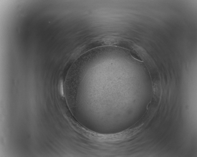 X0000069810046200605261800