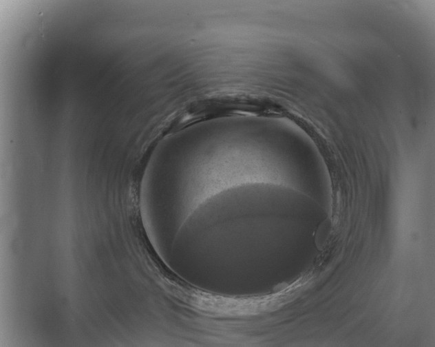 X0000069810048200605261800