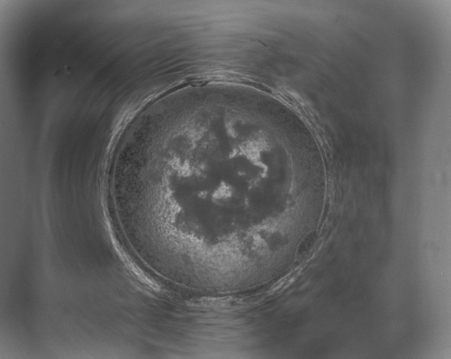 X0000069810049200605261759