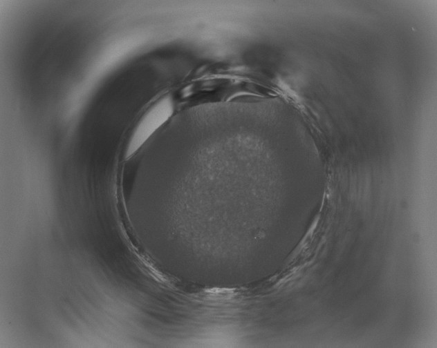 X0000069810052200605261759