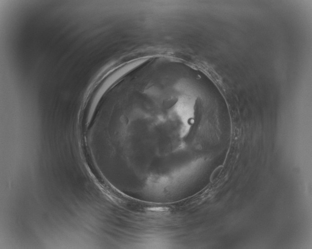 X0000069810053200605261759