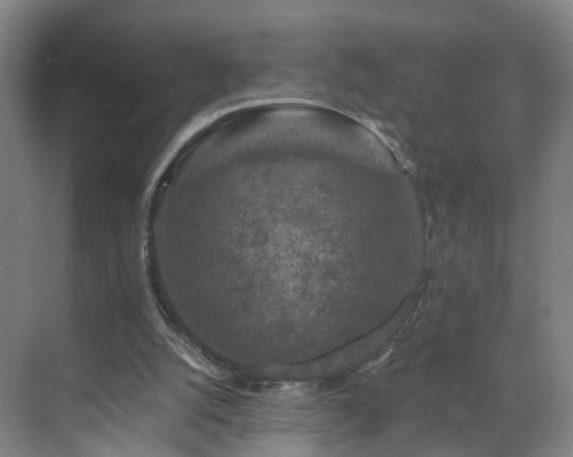 X0000069810056200605261759