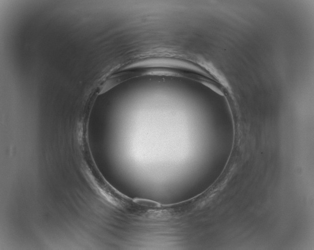 X0000069810057200605261759