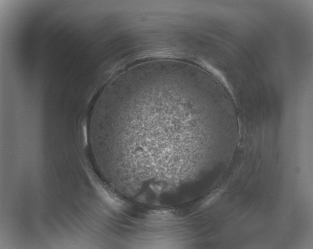 X0000069810061200605261759